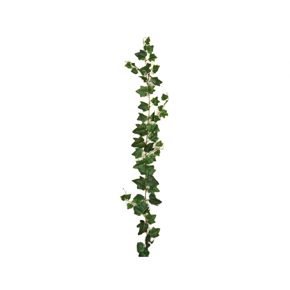 ΓIPΛANTA KIΣΣOΣ H 180cm Plastona 00.17.25028