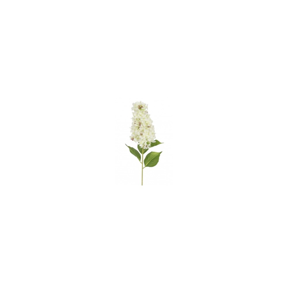 Ορτανσία Paniculata κλαδί λευκό  83εκ. Plastona 013.821895