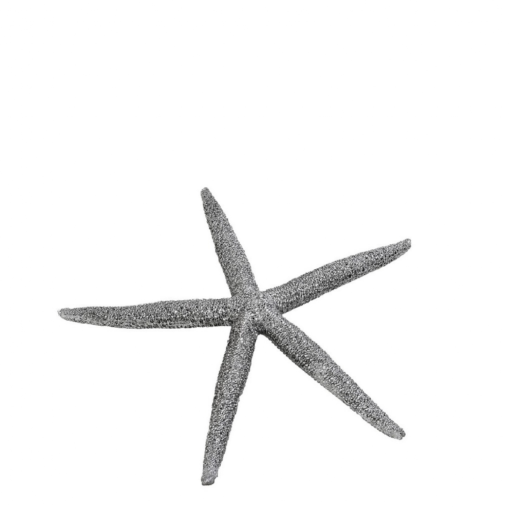 ΑΣΤΕΡΙΑΣ ΑΣΗΜΙ  12,5X11X1,5CM. Espiel MT2714K6
