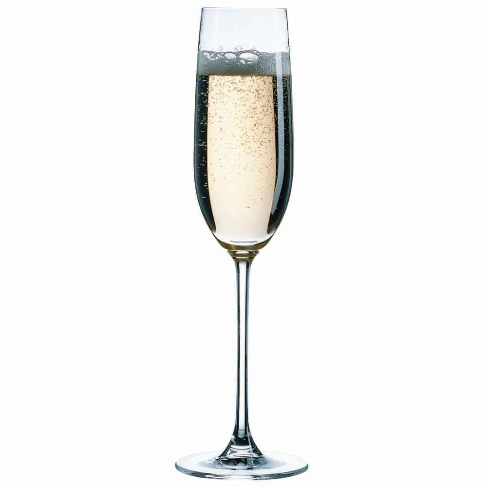 NUDE VINTAGE CHAMPAGNE SET6 220CC (FD66013) PLT/576 GB6.OB24. Espiel NU66112-6