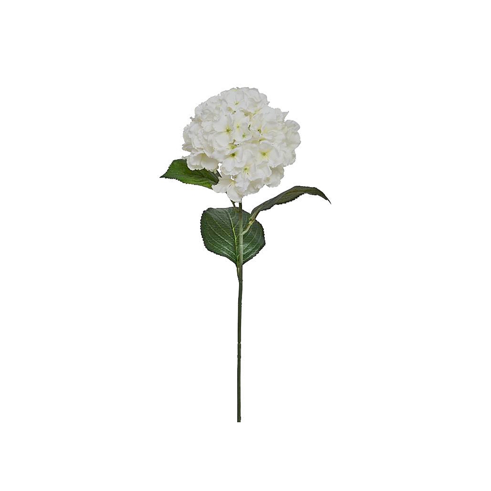 Ορτανσία λευκή, 72cm Zaros AX703