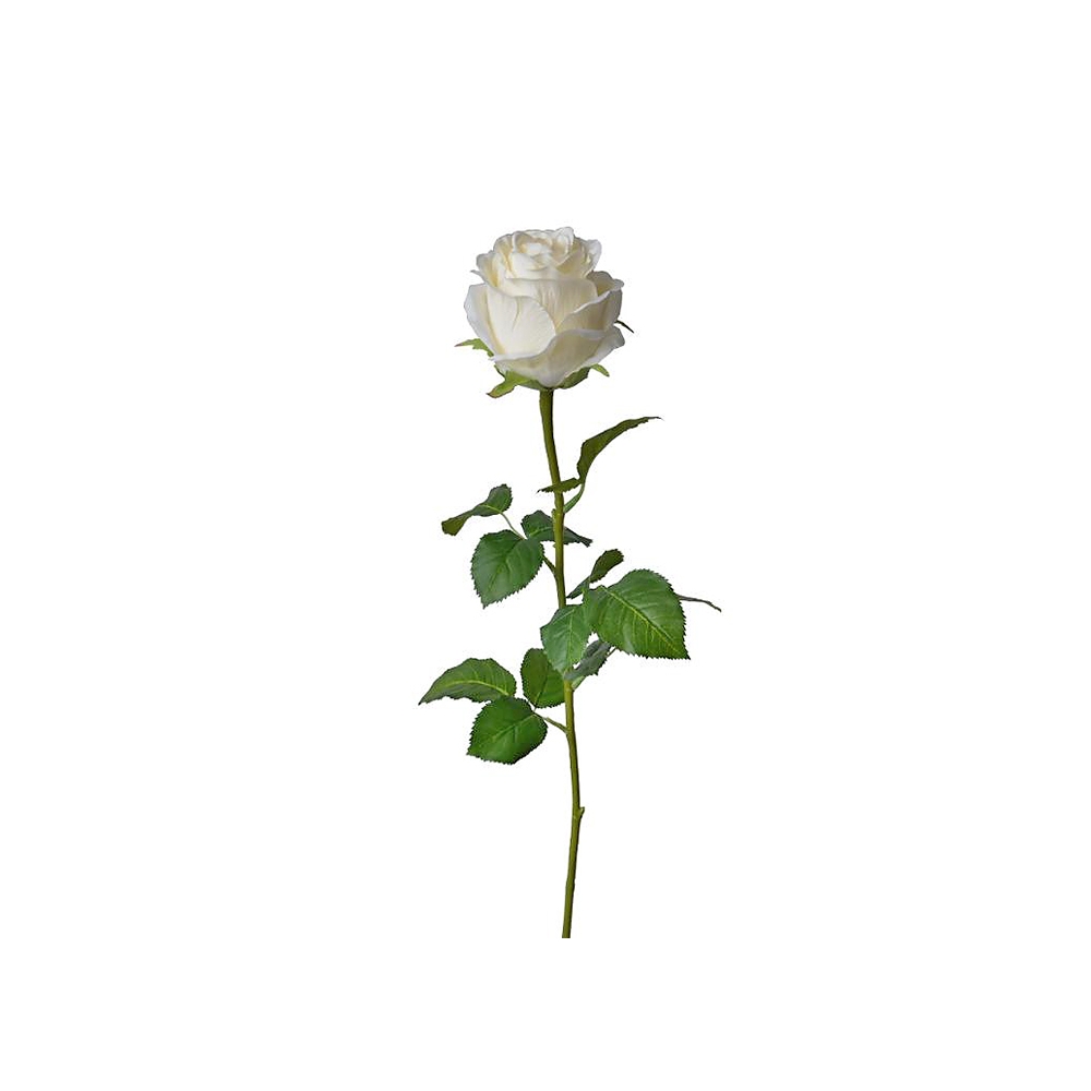Τριαντάφυλλο μπουμπούκι κρεμ,71cm Zaros AX711