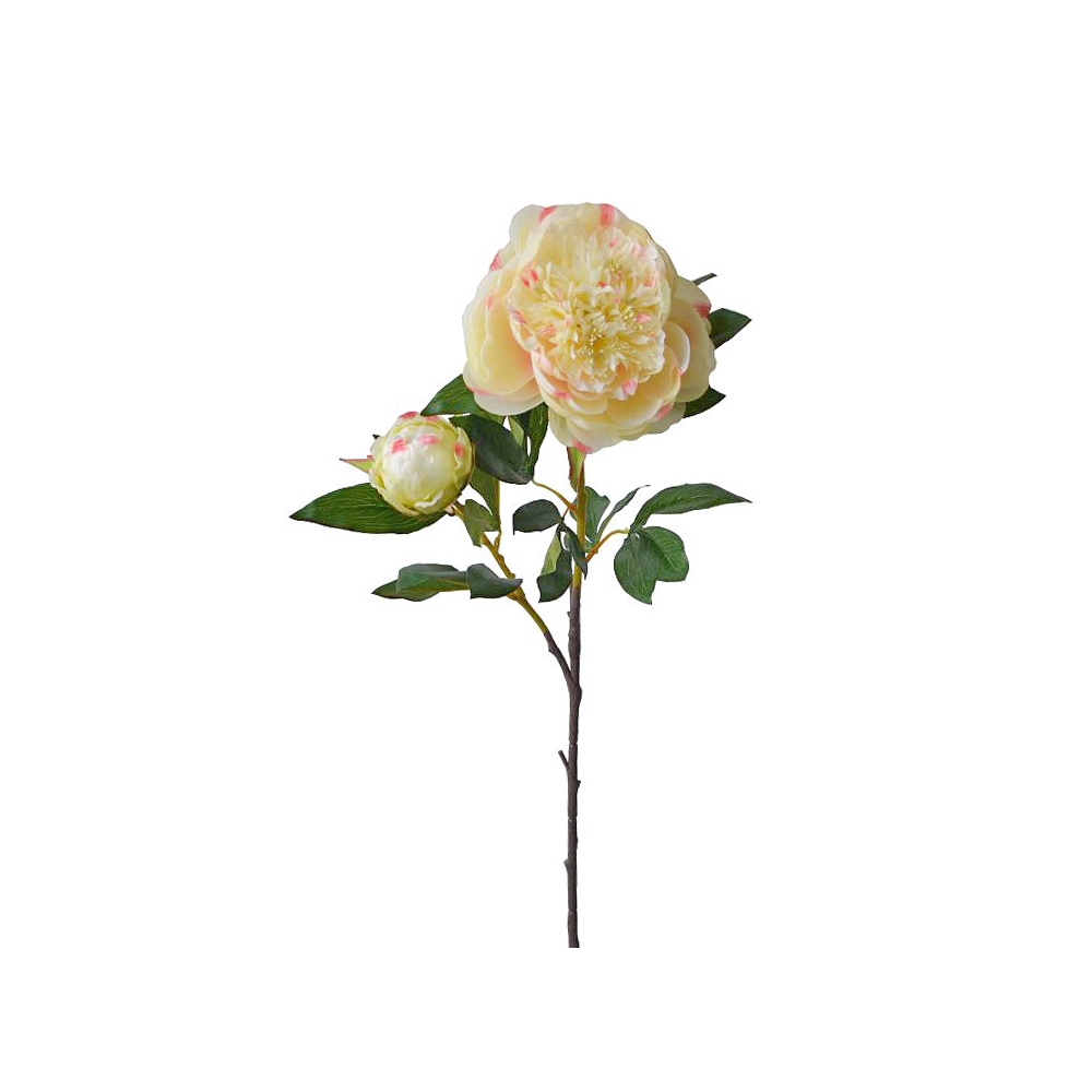 Παιώνια κλαδί x 1 μπουμπούκι, απαλό κίτρινο, 96cm Zaros AX713