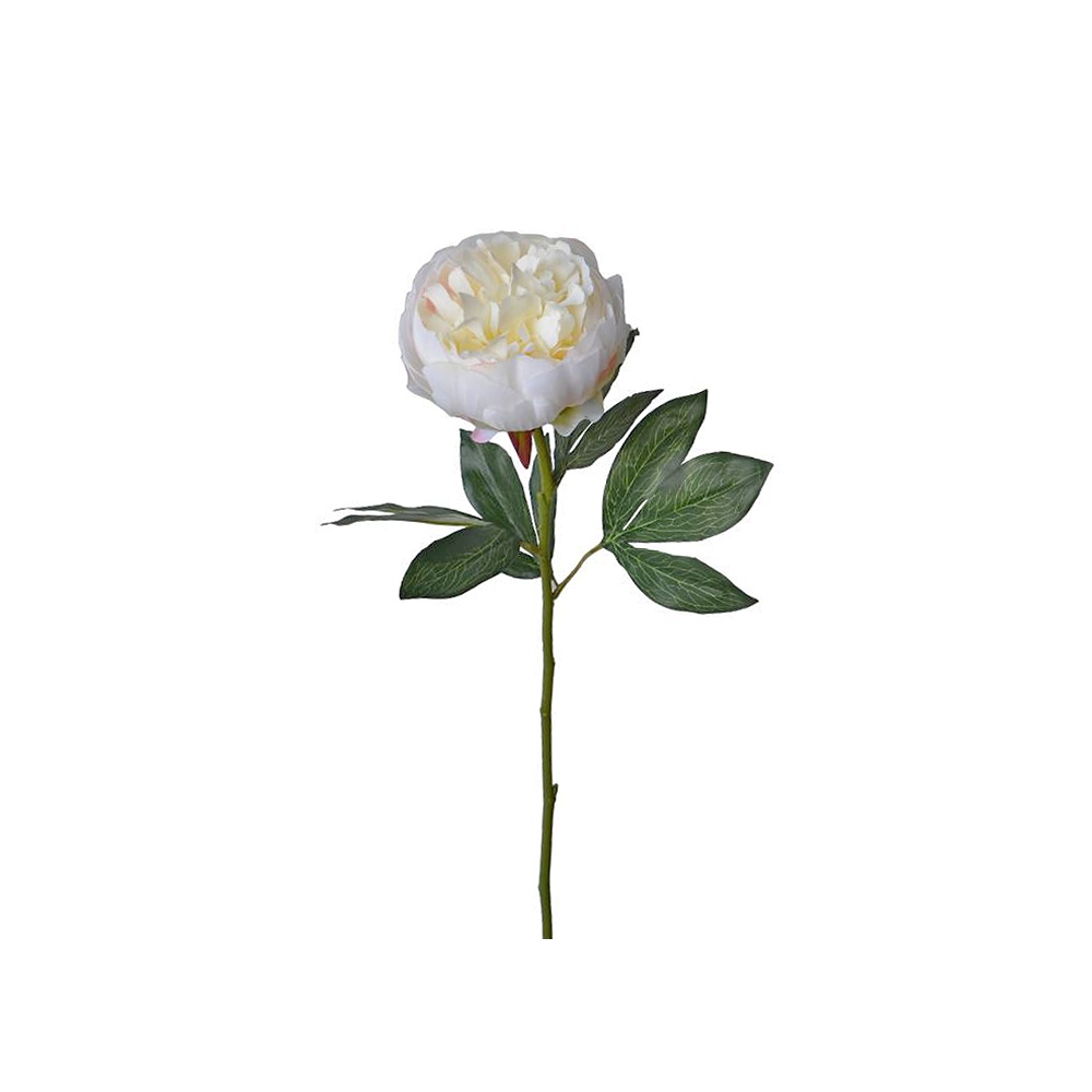 Παιώνια λευκή, 72cm Zaros AX714