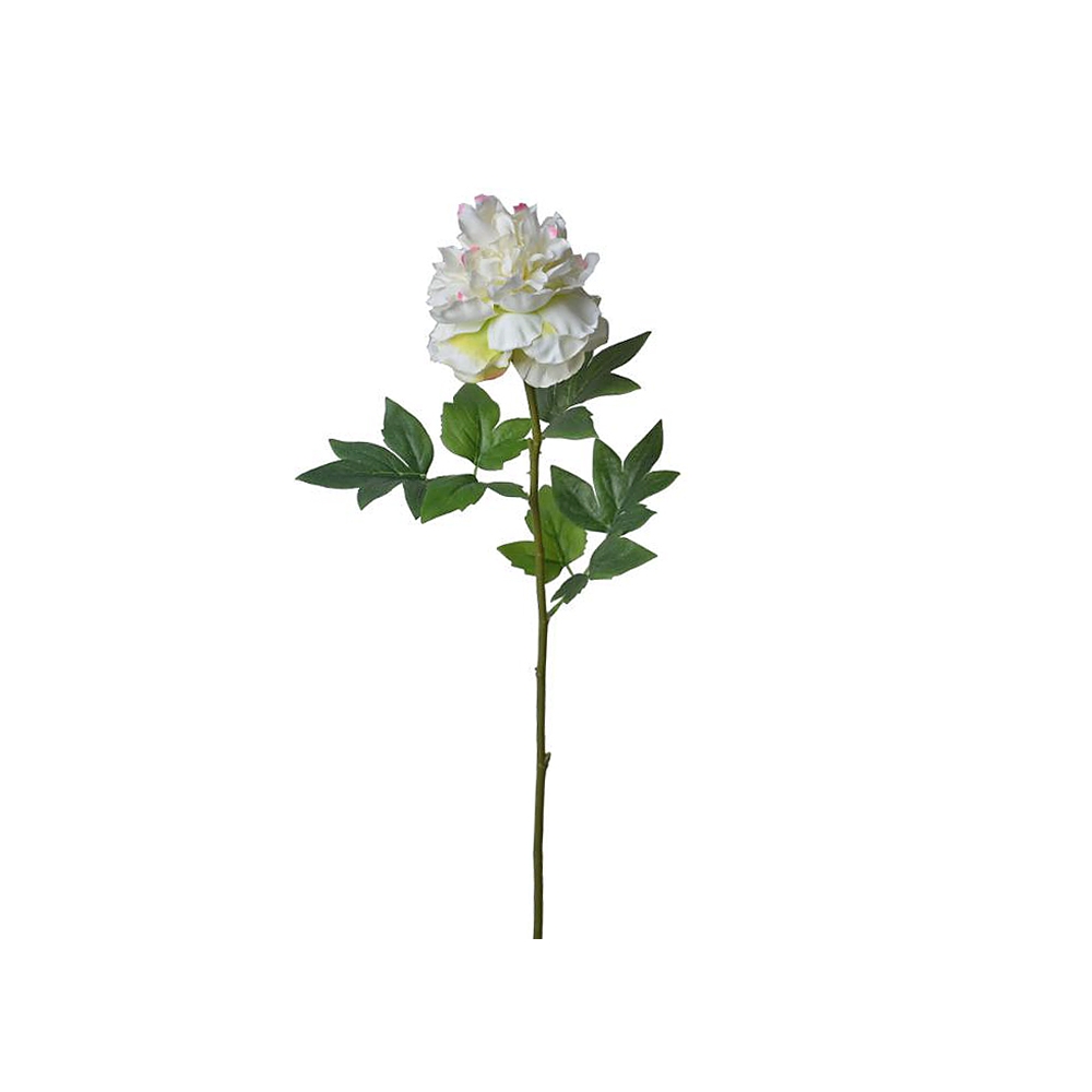 Παιώνια σε λευκό χρ.,71cm Zaros AX719