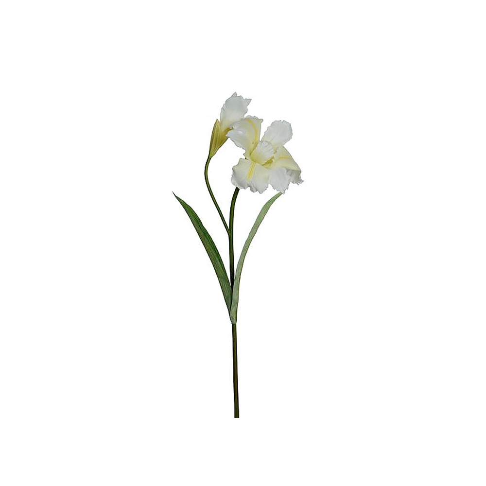 Κλαδί Iris x 1 μπουμπούκι, λευκό 94cm Zaros AX724