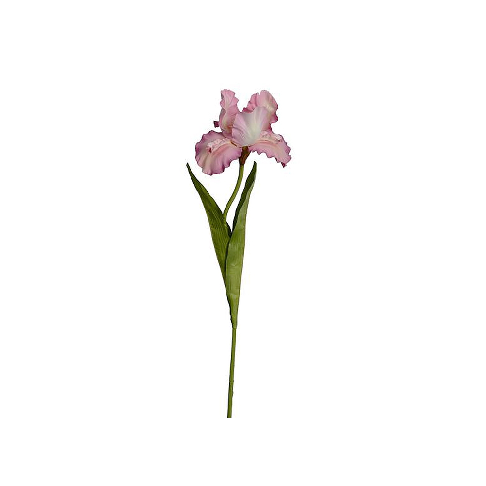 Λουλούδι Iris απαλό ρόζ, 94cm Zaros AX725