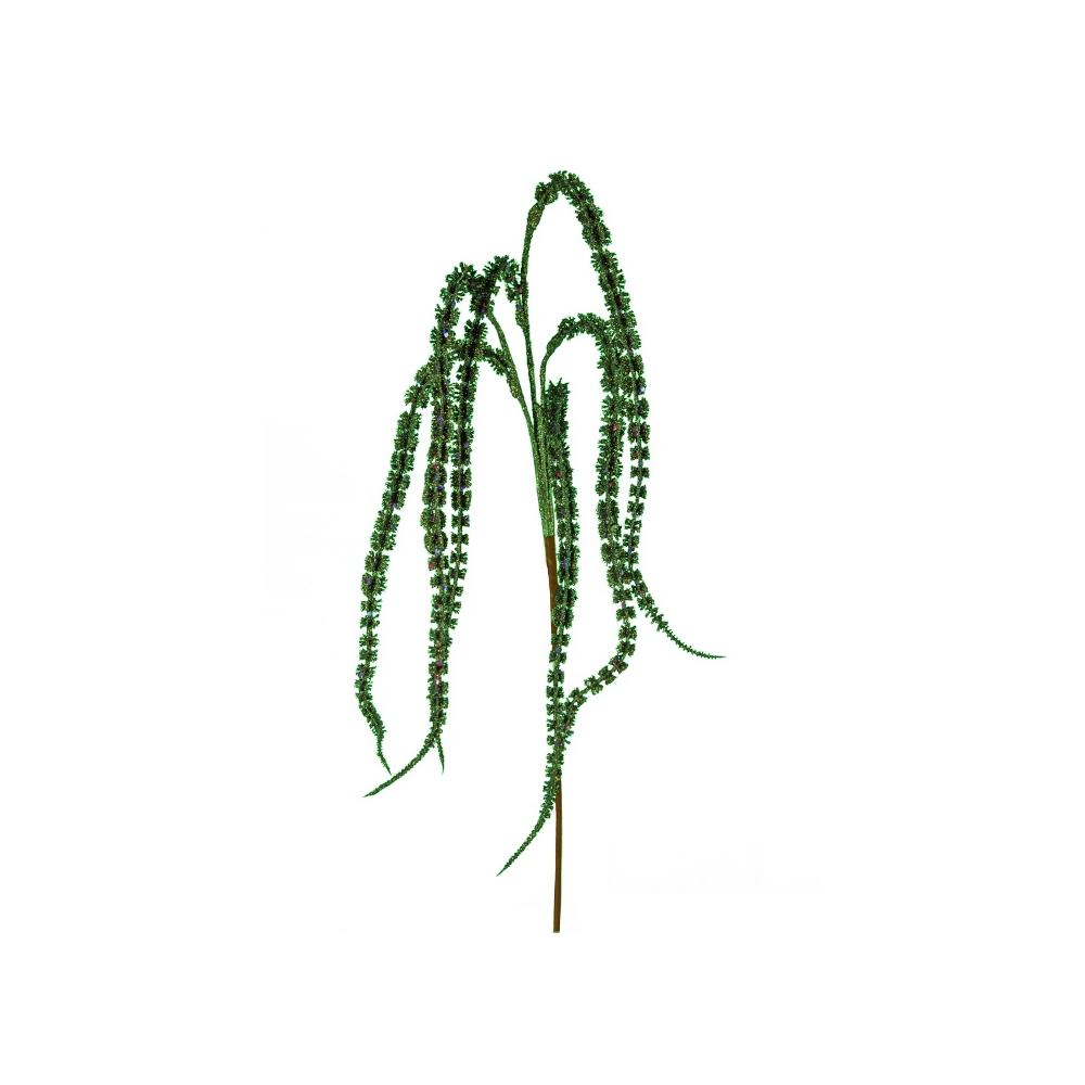Κλαδί αμάρανθος, πράσινο, 75cm Zaros AX738