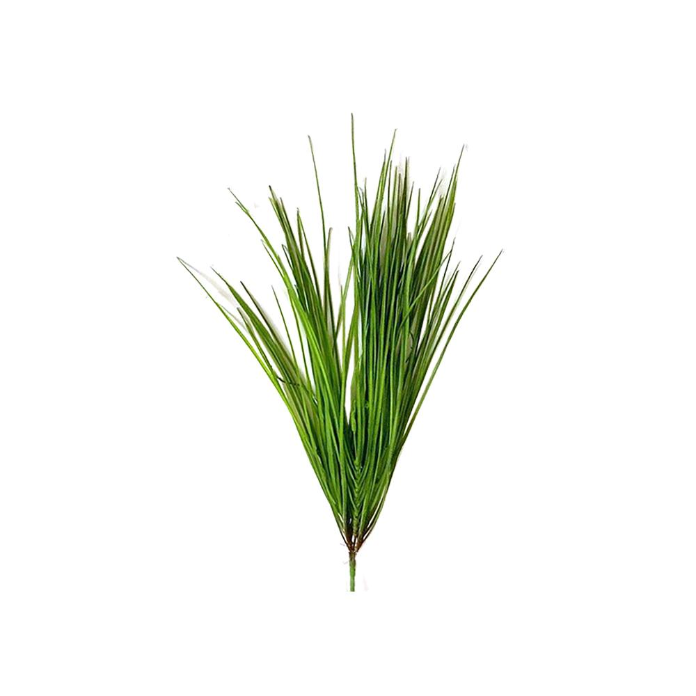 Monkey grass, 52cm Zaros FL140