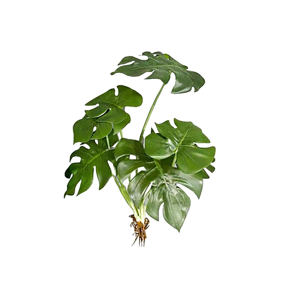 Φύλλα Monstera με ρίζα, 50cm Zaros FL145