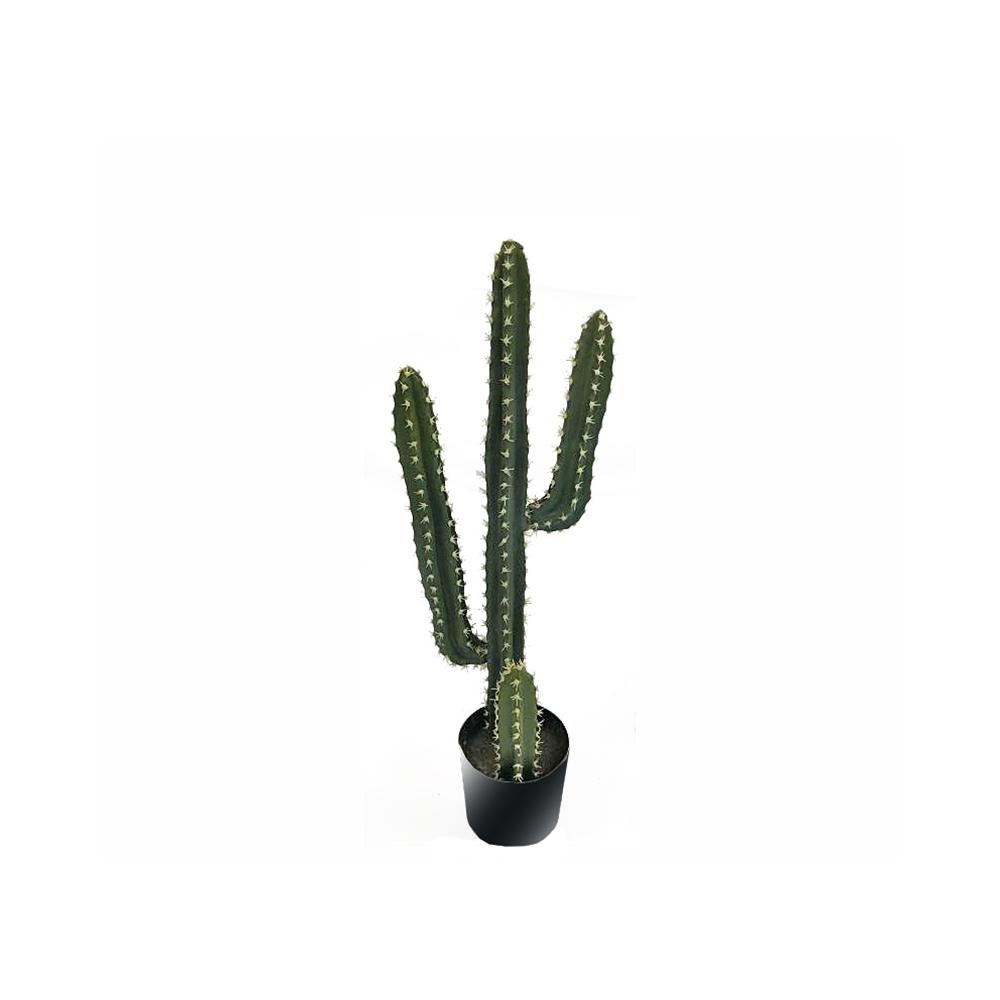 Κάκτος Arizona σε κασπώ,65cm Zaros FL149
