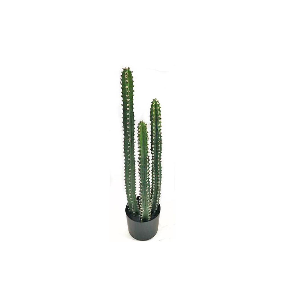 Κάκτος Arizona σε κασπώ,80cm Zaros FL150