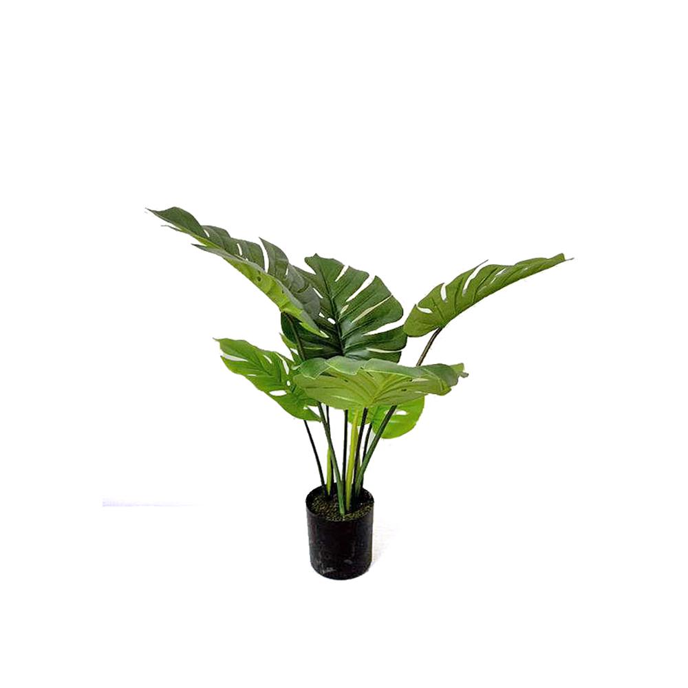 Φυτό Monstera σε κασπώ, 60cm Zaros FL154