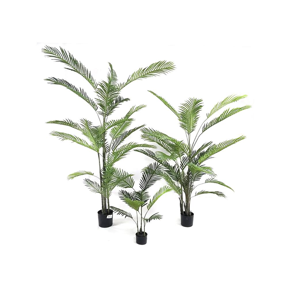 Φοίνικας Areca σε κασπώ, 120cm Zaros FL156
