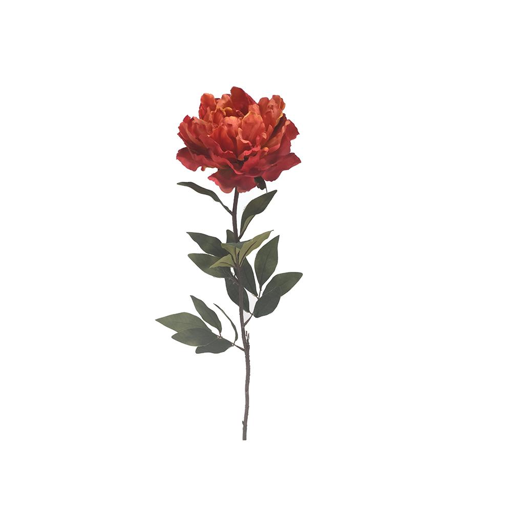 Παιώνια σε χρώμα πάπρικας,82cm Zaros AX817