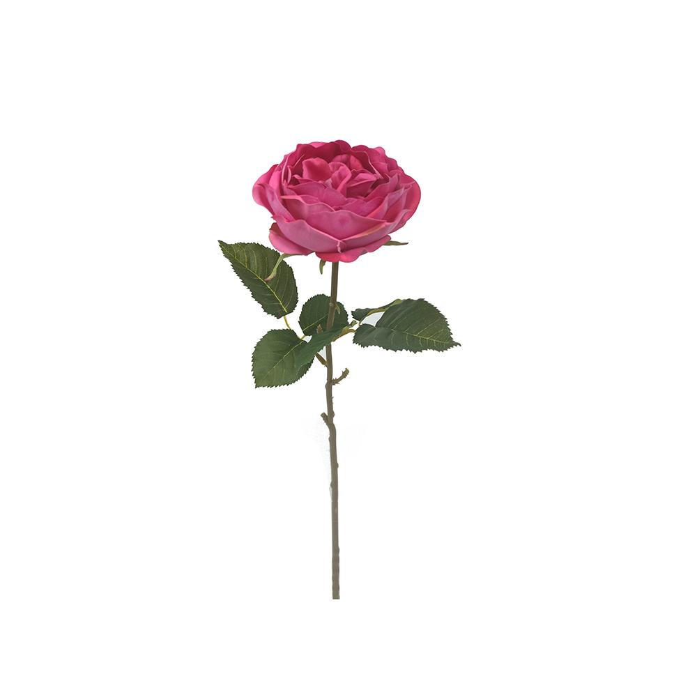 Τριανταφυλλο Elisabeth κρεμ/ροζ,51cm Zaros AX830