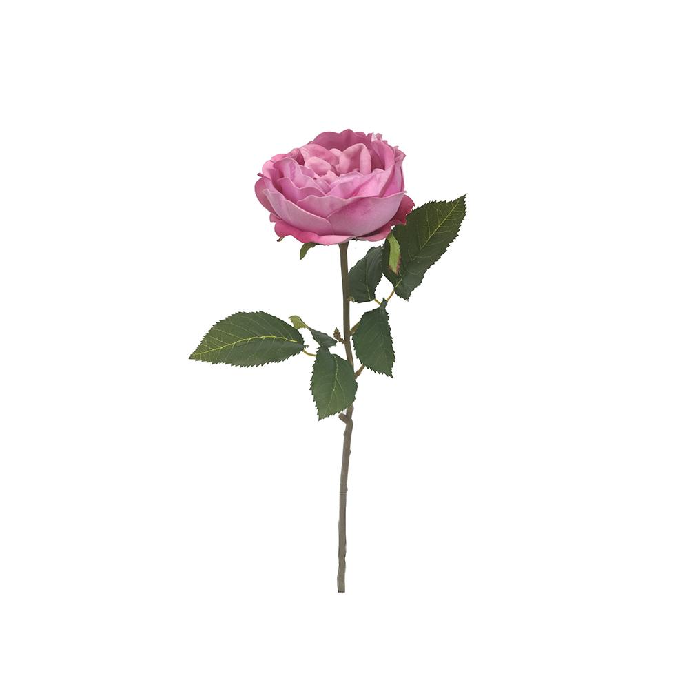 Τριανταφυλλο Elisabeth σε ροζ χρ.,51cm Zaros AX831
