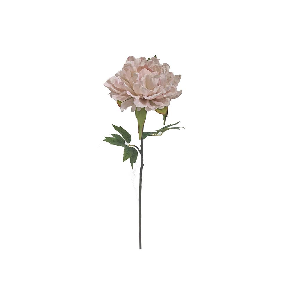 Παιώνια απαλό ροζ, 65cm Zaros AX833