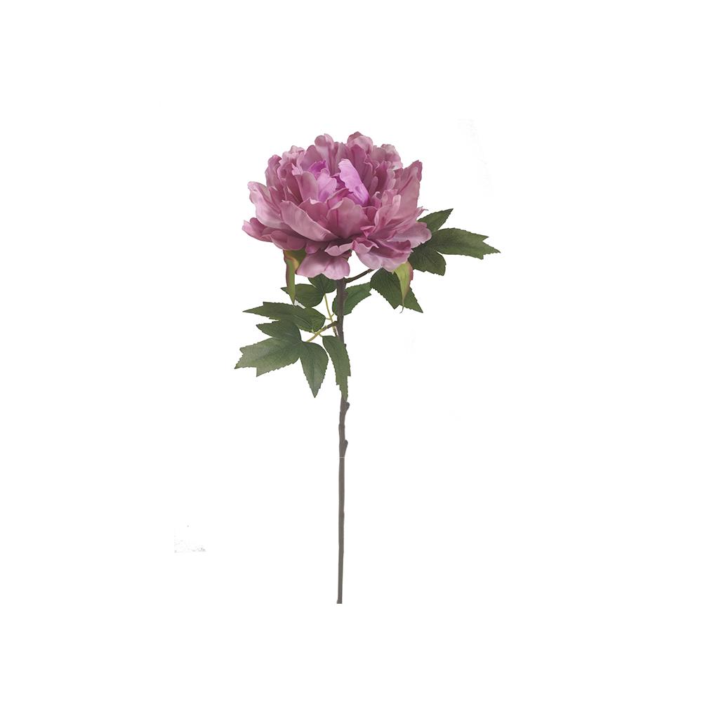 Παιώνια σε χρώμα βιολετί,  65cm Zaros AX834