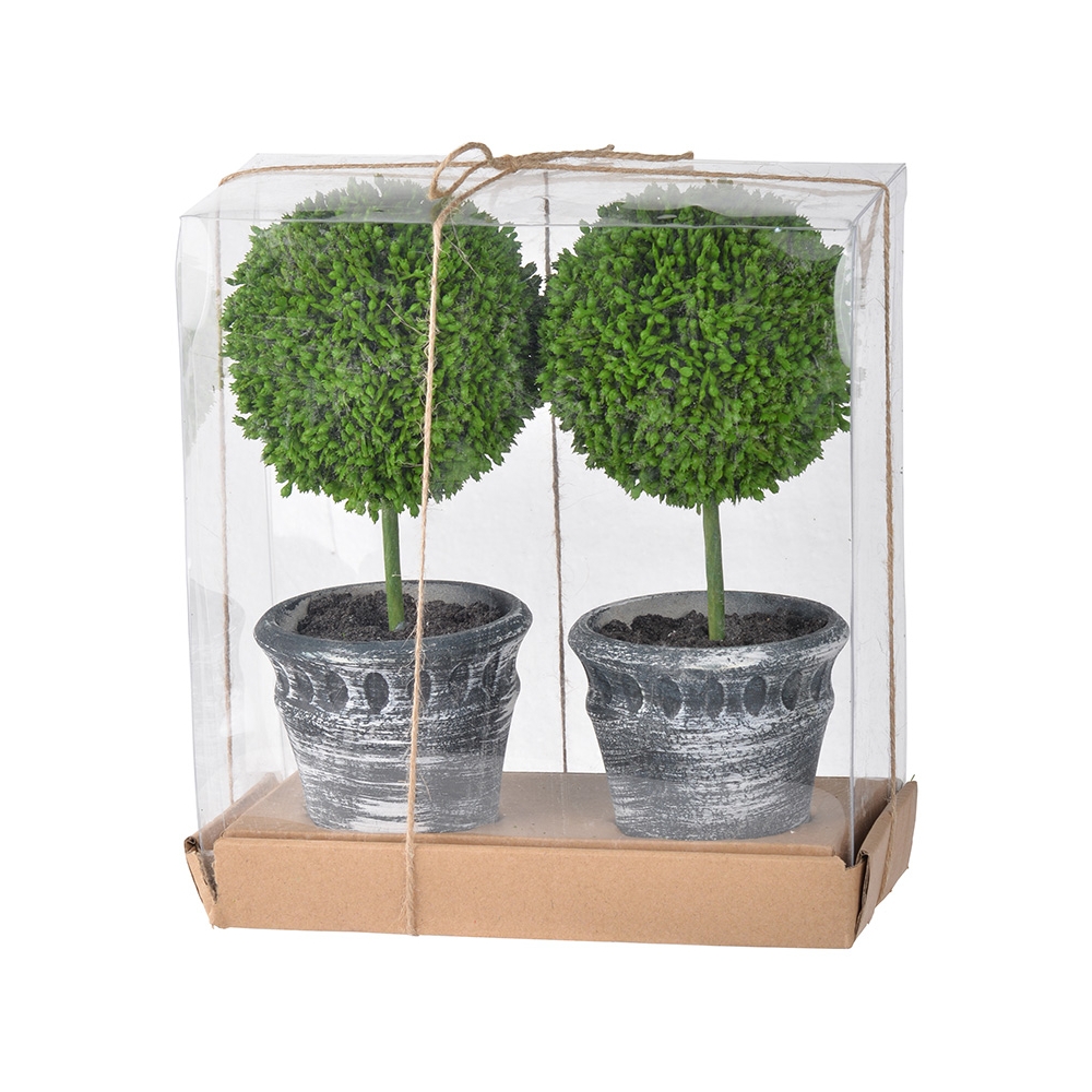 Artekko Boxwood Πράσινος Πλαστικός Τεχνητός Πύξος σε Κασπώ (20.3x10.2x24.1)cm 2pcs Artekko 29570-BLAC
