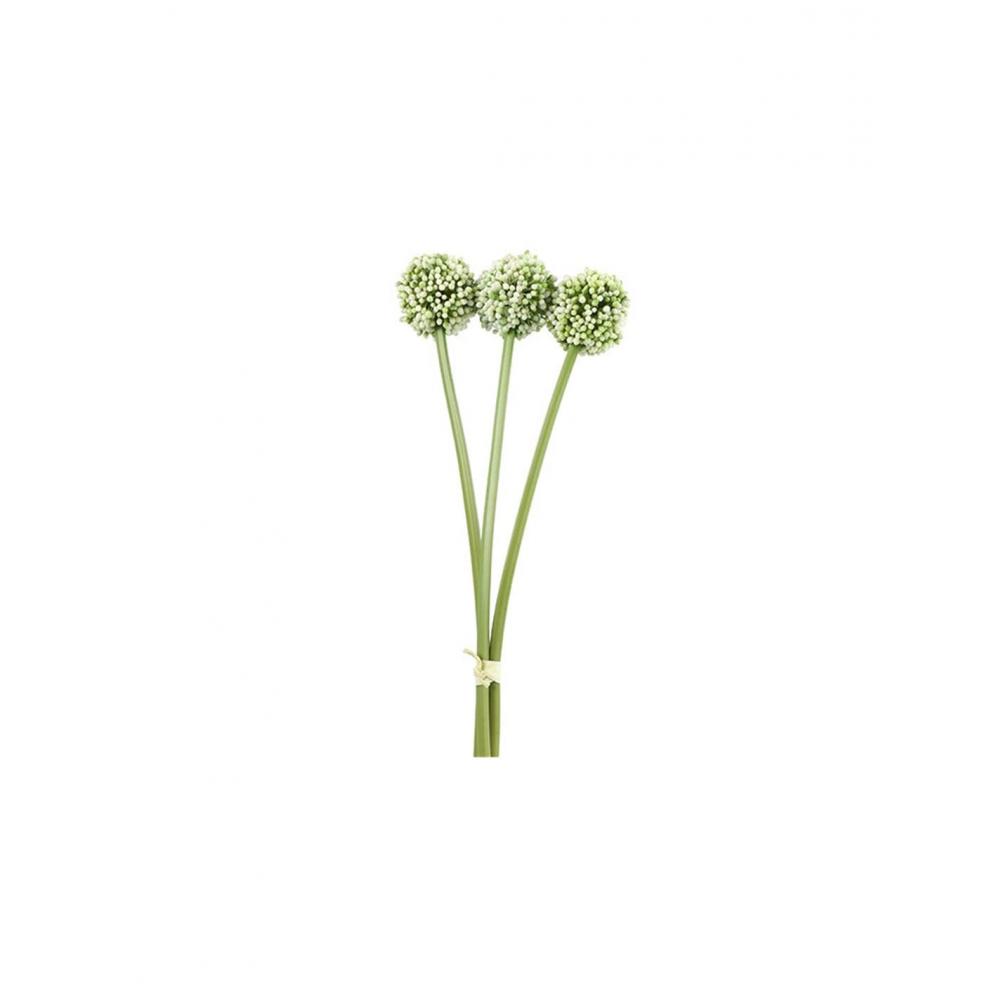 Allium κρεμ  Χ3 55εκ. Plastona 013.807435