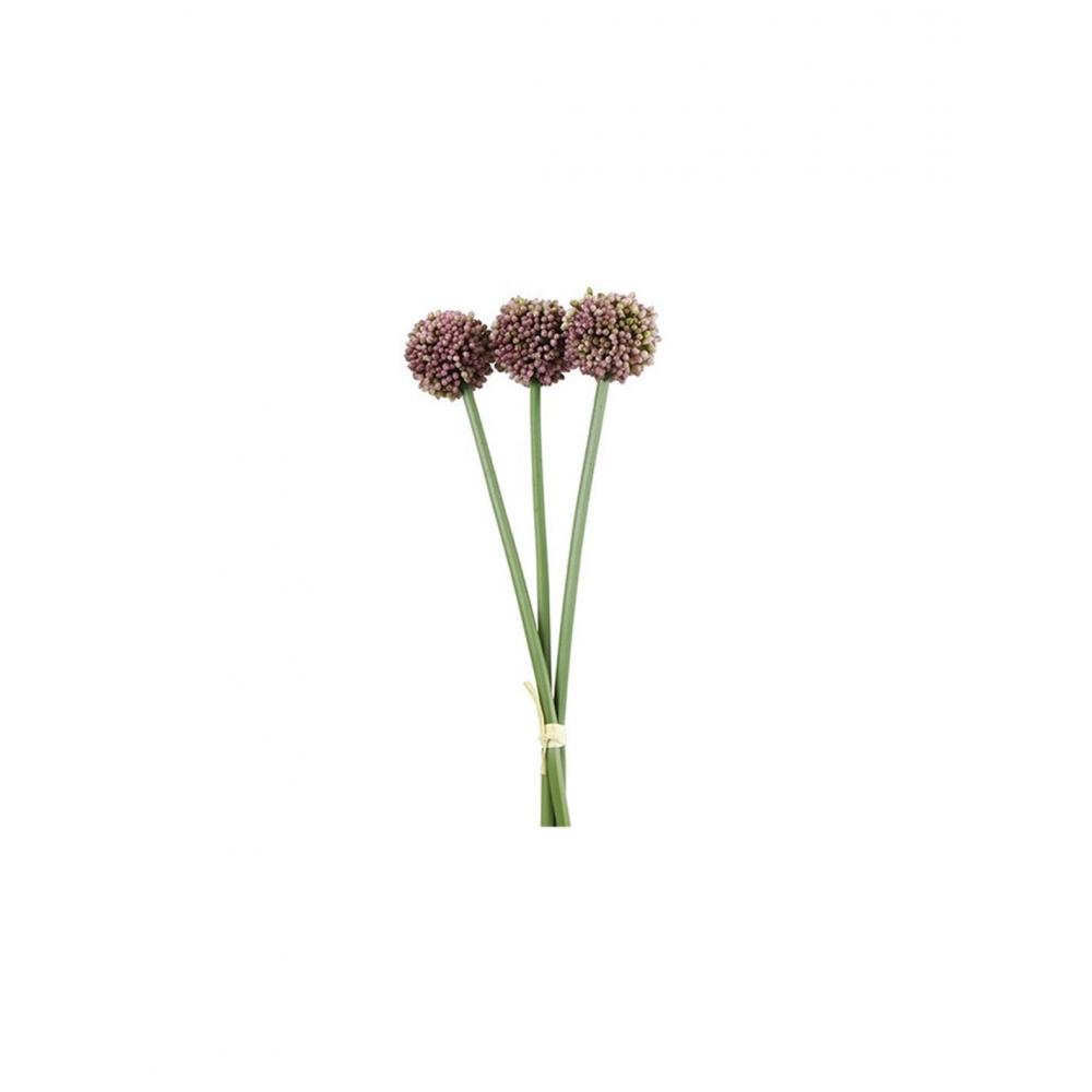 Allium μωβ  Χ3 55εκ. Plastona 013.807434