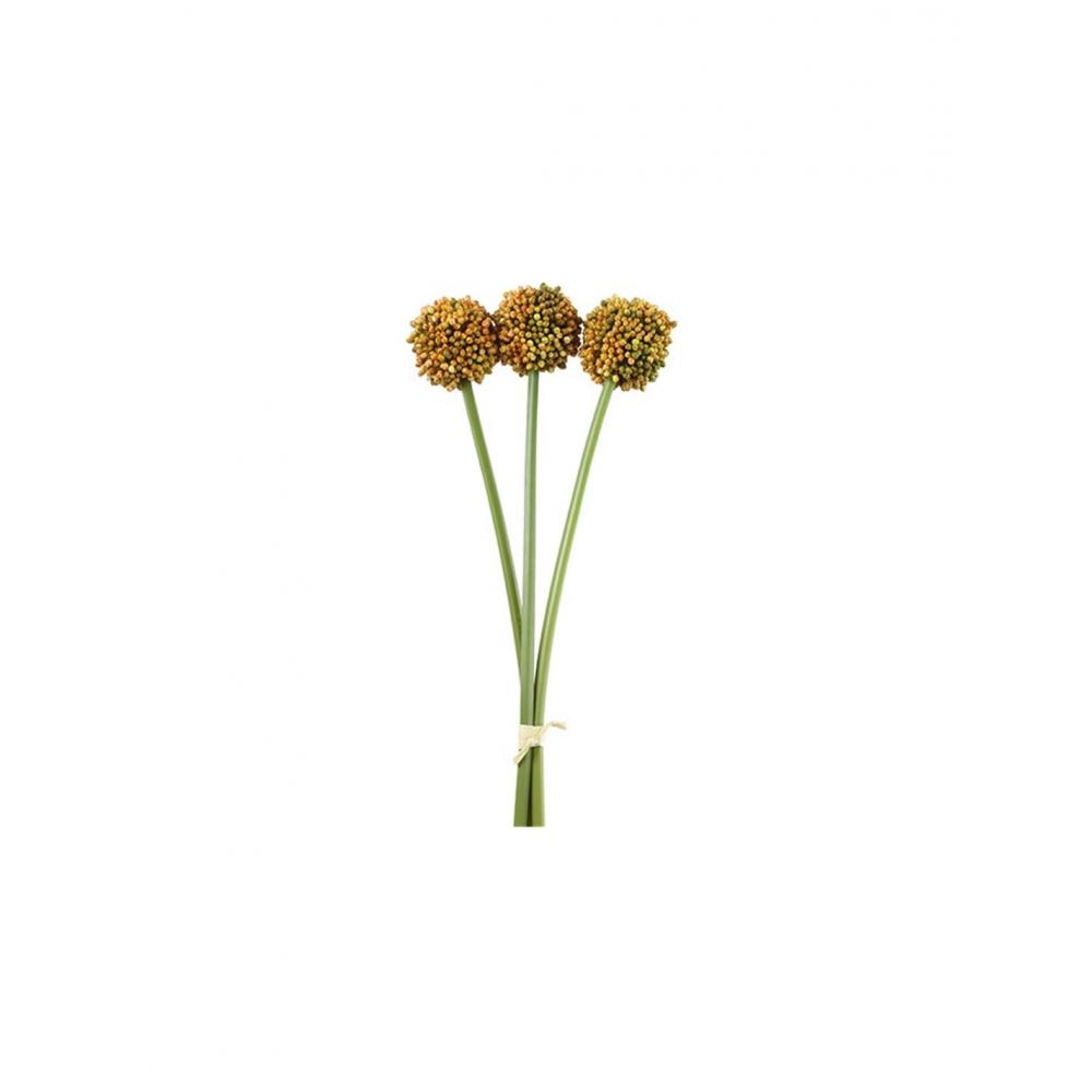 Allium πορτοκαλί  Χ3 55εκ. Plastona 013.807433