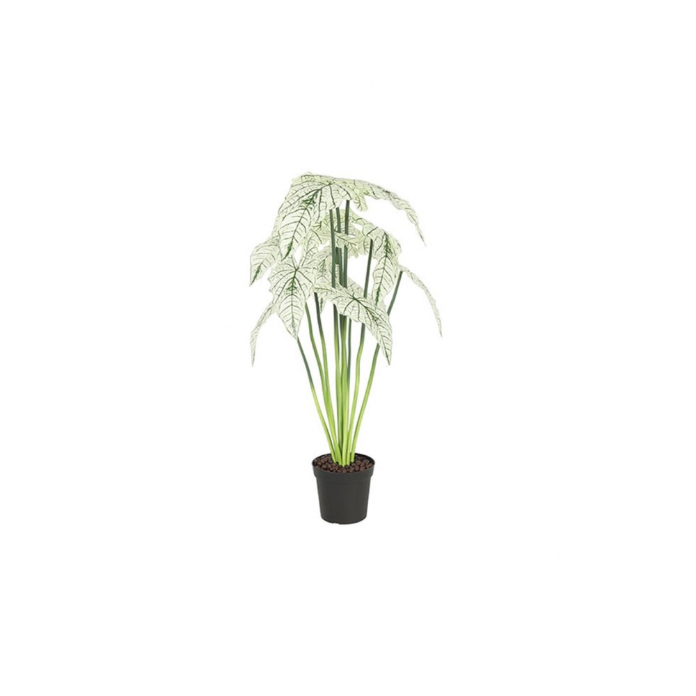 Alocasia σε κασπώ 80εκ. Plastona 013.787742