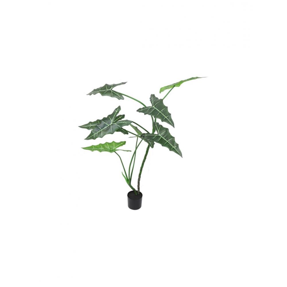Alocasia σε κασπώ Φ120Η 170cm Plastona 013.804953