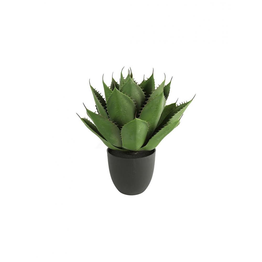 Αλόη σε κασπώ Φ45Η57cm Plastona 013.768200