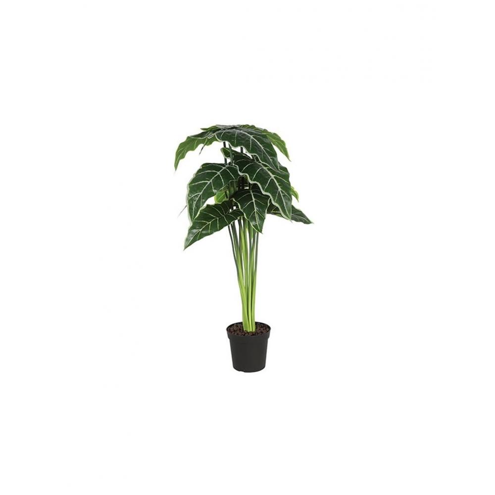 Αλοκάσια σε κασπώ Φ40 Η80cm Plastona 013.787741