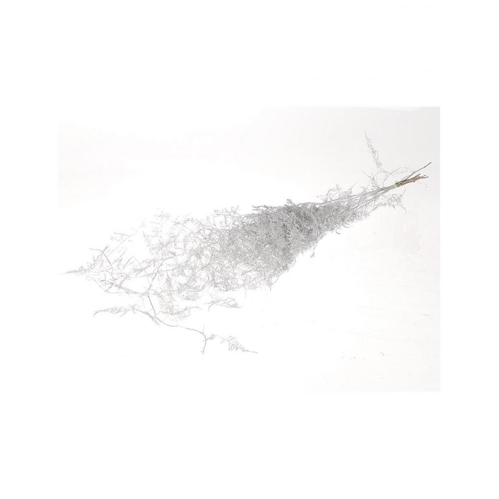 Asparagus  ασημί Η90cm Plastona 012.312312060