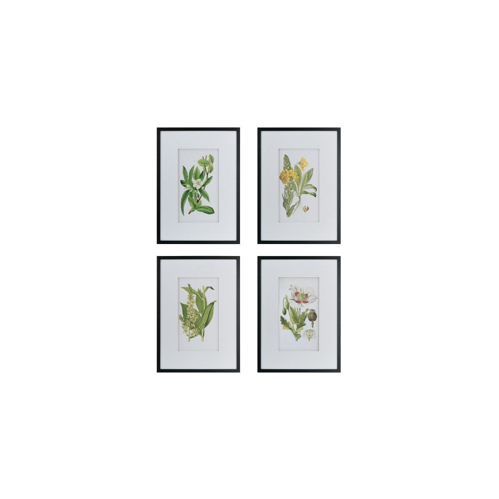 Artekko Botanical Λευκοί Πίνακες με Φυτά σε Μαύρη Κορνίζα (50x3x70)cm 4pcs Artekko AV44590
