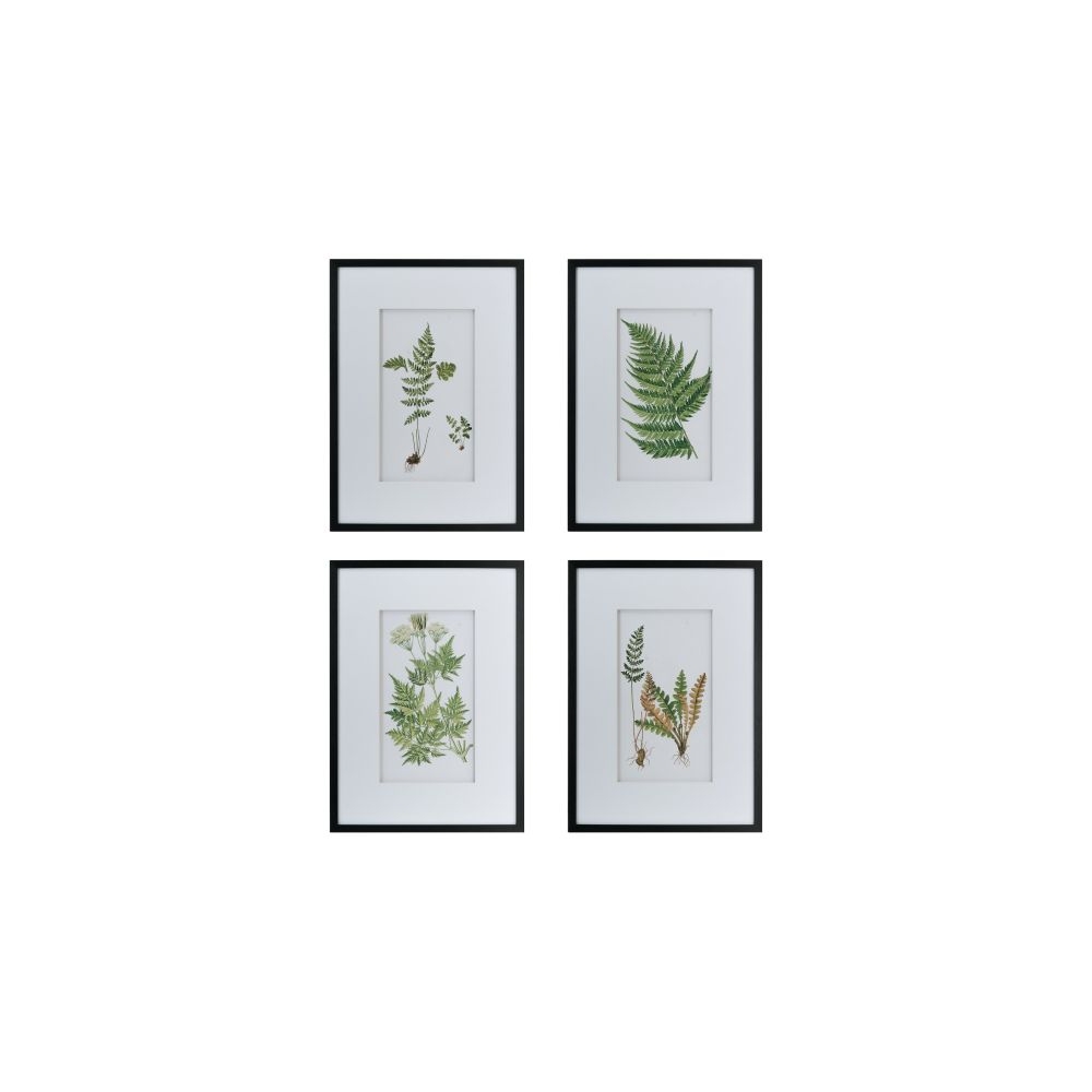 Artekko Botanical Λευκοί Πίνακες με Φυτά σε Μαύρη Κορνίζα (50x3x70)cm 4pcs Artekko AV44591