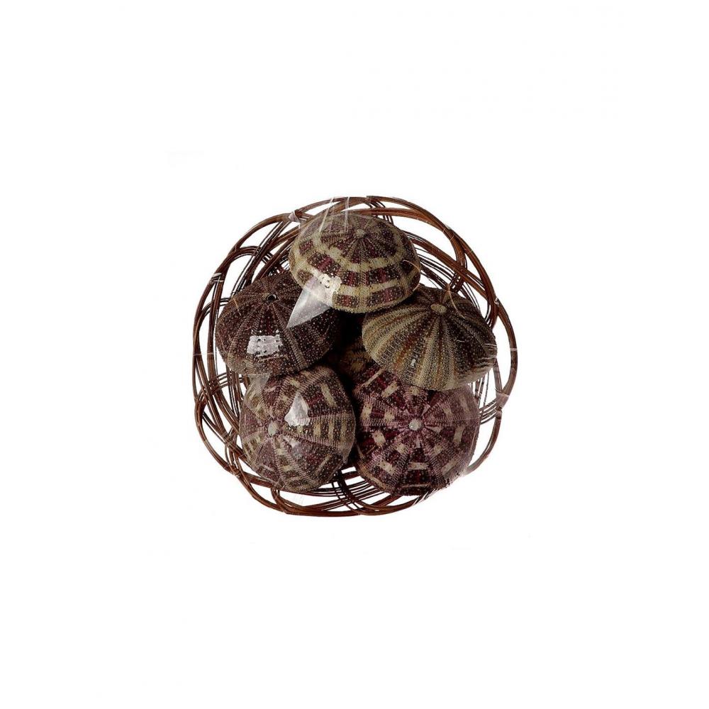 Αχινοί σε καλάθι 6pcs Φ7,5cm Plastona 012.632503022
