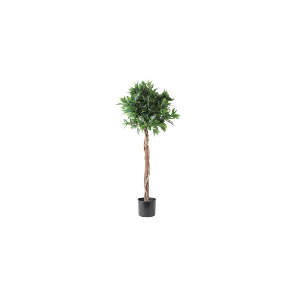 Δάφνη σε κασπώ Φ80Η120cm Plastona 013.804920