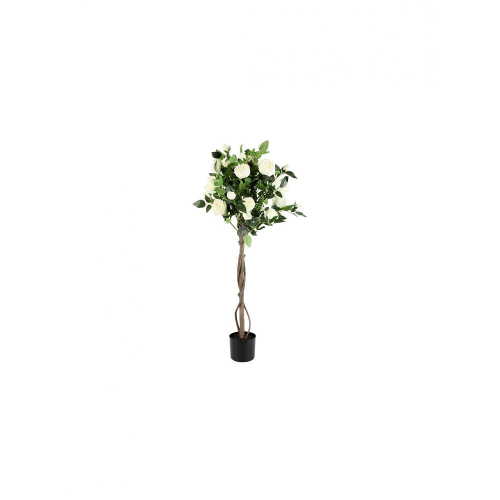 Δέντρο Τριανταφυλλιά λευκή σε κασπώ D60H120cm Plastona 013.804909