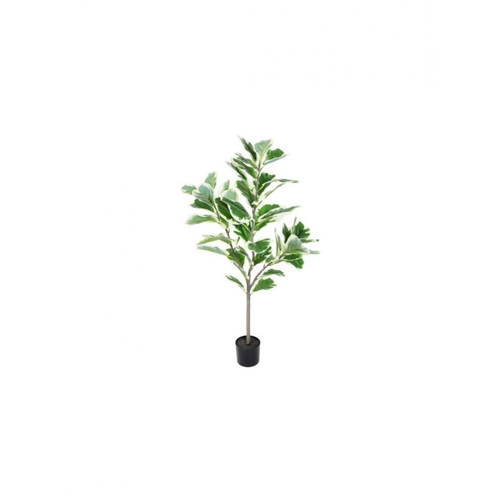 Φίκος lyrata σε κασπώ 80x130cm Plastona 013.804965
