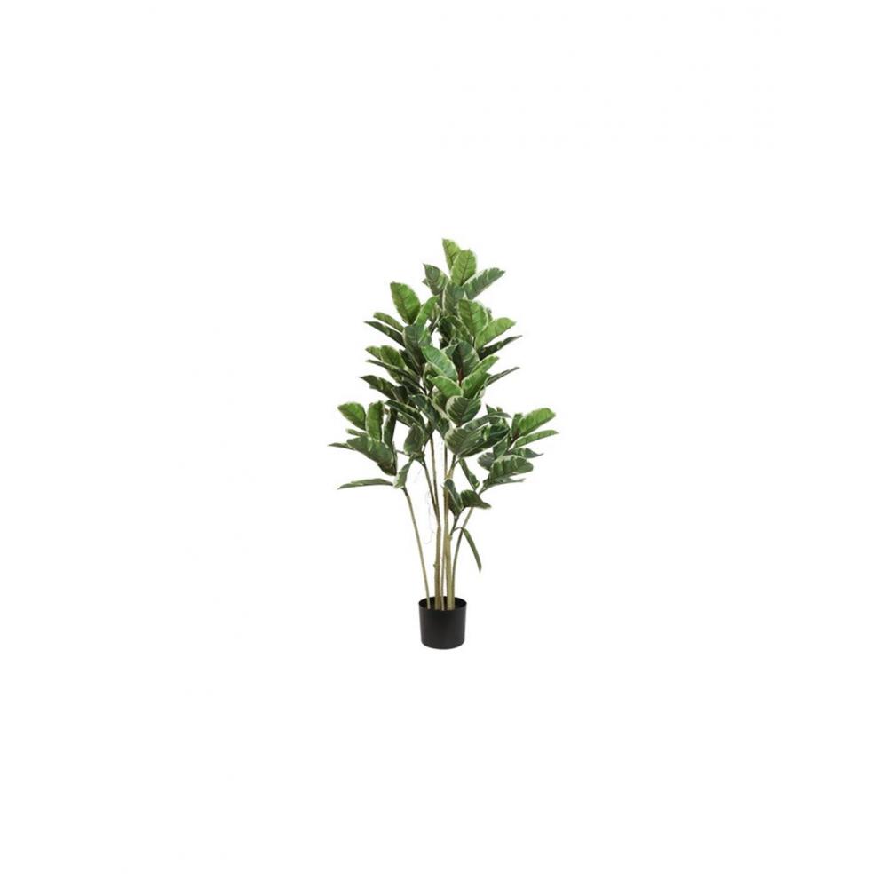 Φίκος σε κασπώ 52x62x120cm Plastona 013.807770