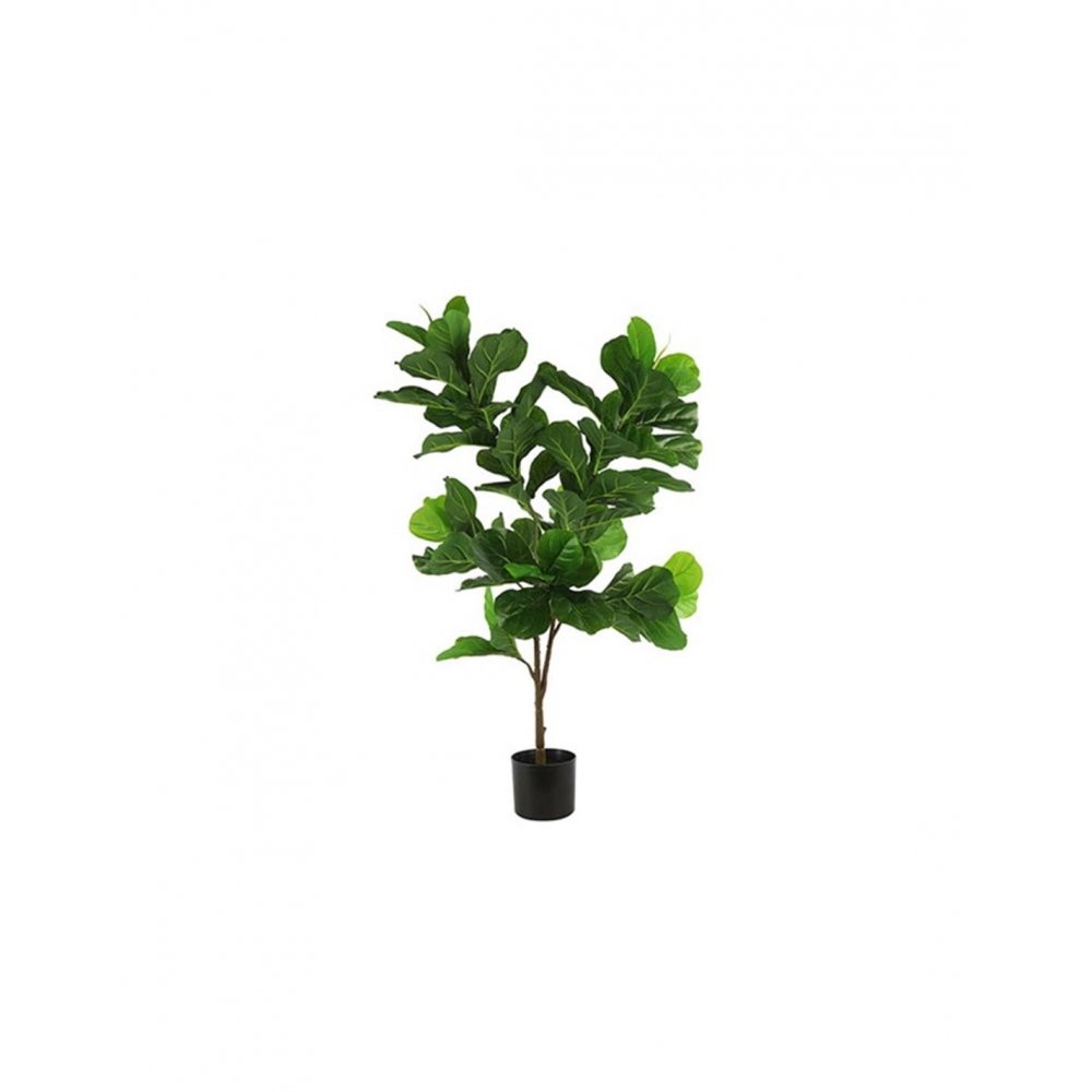 Φύκος σε κασπώ 120εκ. Plastona 013.780824