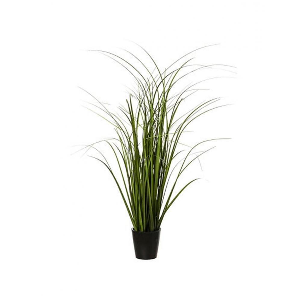 Φυτό σε κασπώ  Φ9,5Η58cm Plastona 07.173021