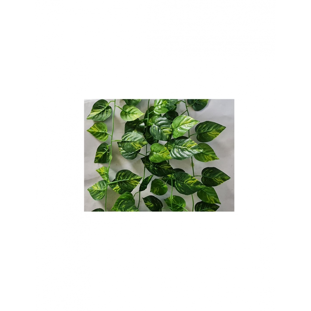 ΓIPΛANTA ΠOΘOΣ 1.90M Plastona 00.17.39006