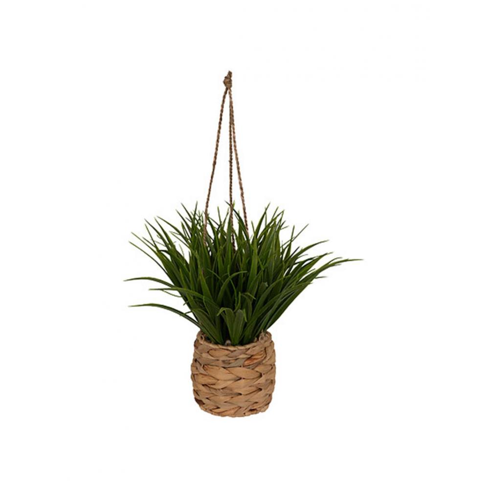 Γρασίδι σε ψάθινο κρεμαστό κασπώ 25 x 25 x 27 cm Plastona 07.206552