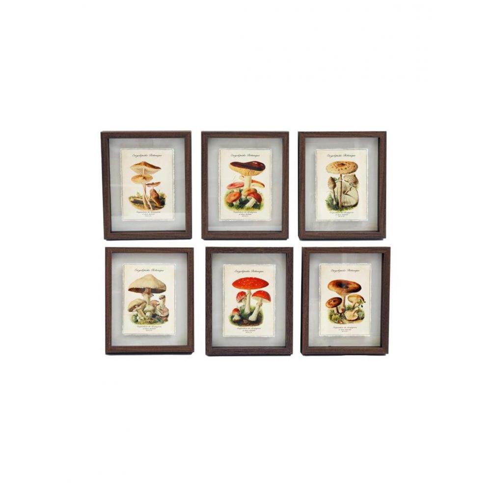 Κάδρο  MUSHROOMS 6σχ. 21x26cm Plastona 014.WP2472