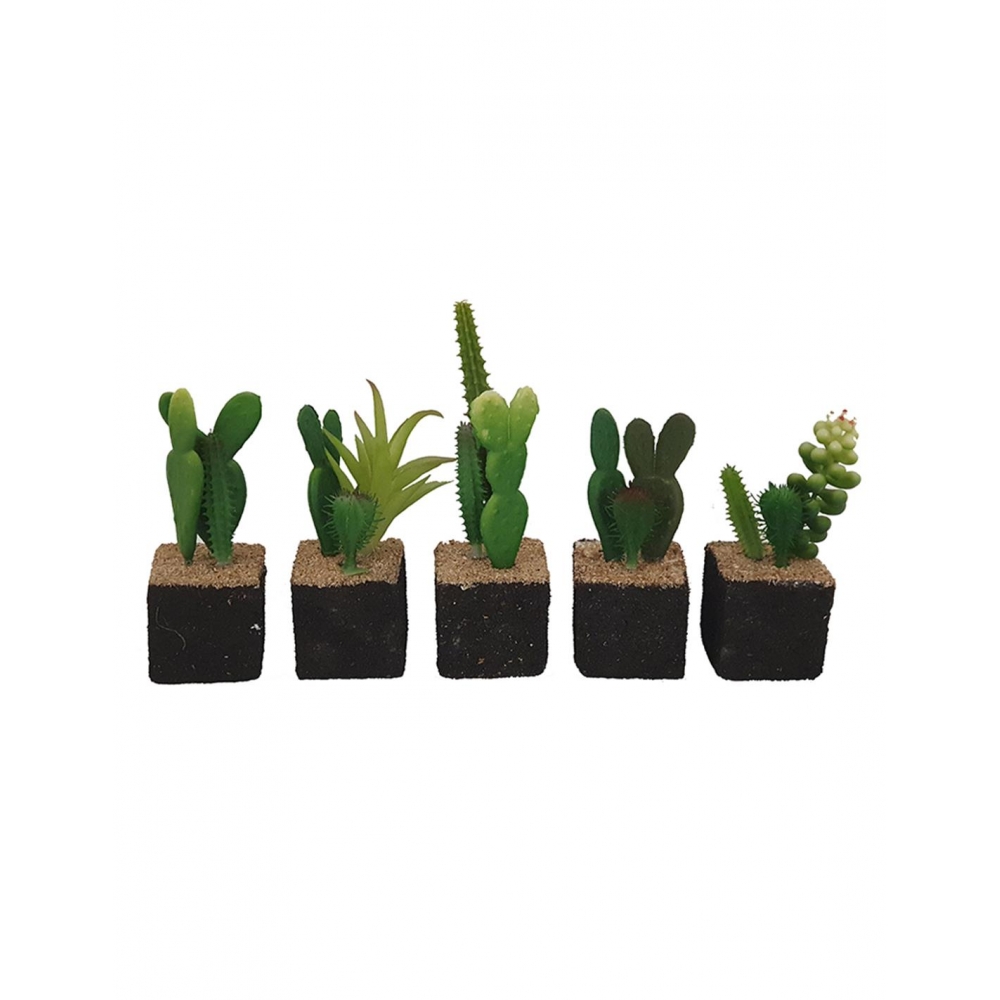 Κάκτοι mini σε μαύρο βάση  10-13εκ. 6σχ. Plastona 00.04.40009