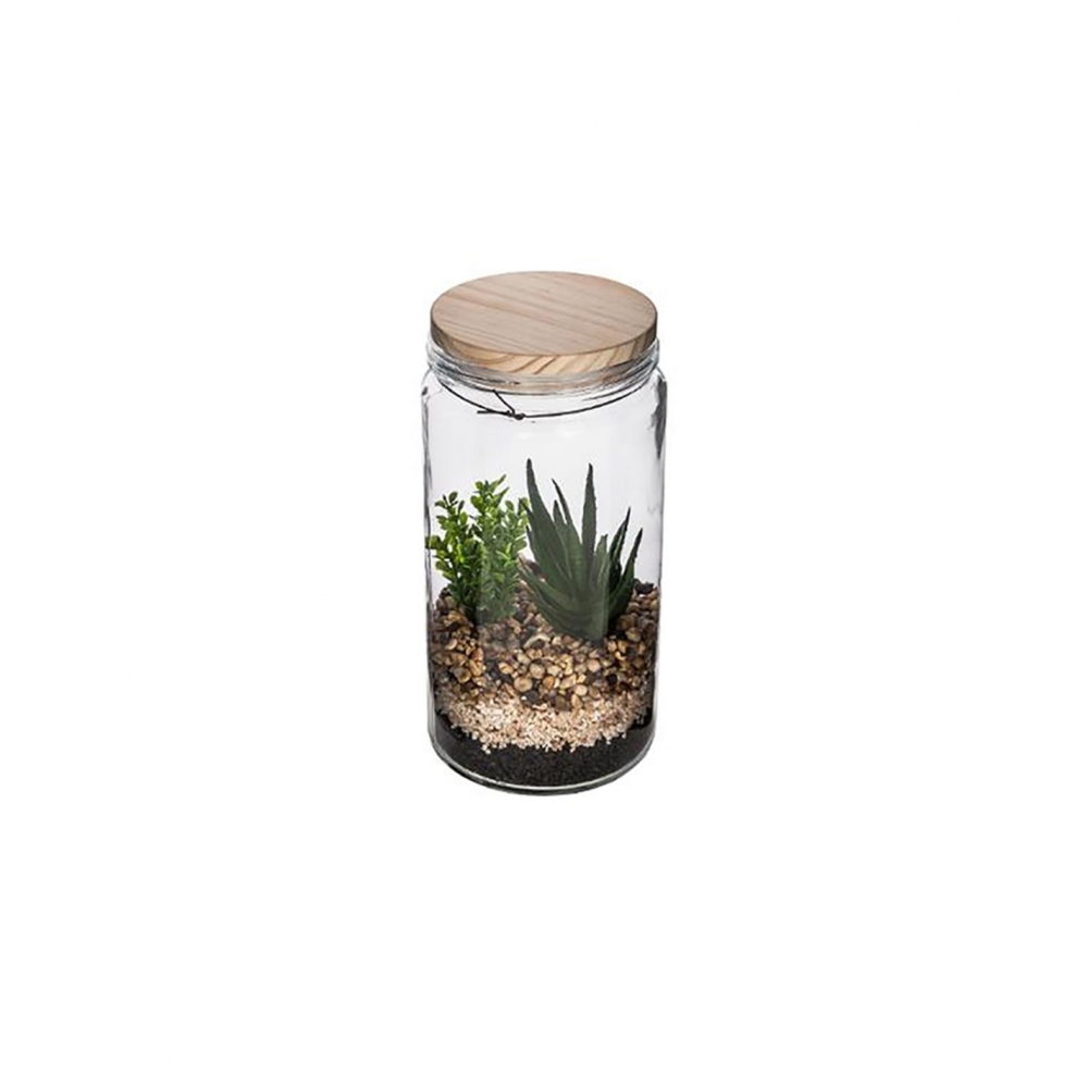 Κάκτοι σε γυαλ.terrarium 2σχ.11X22 Plastona 07.160015