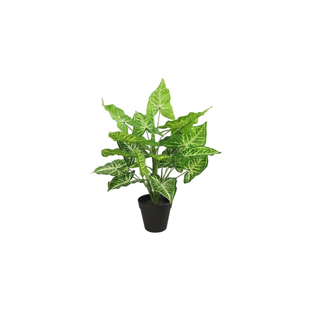 Καλαθέα σε κασπώ 45εκ. Plastona 013.780847