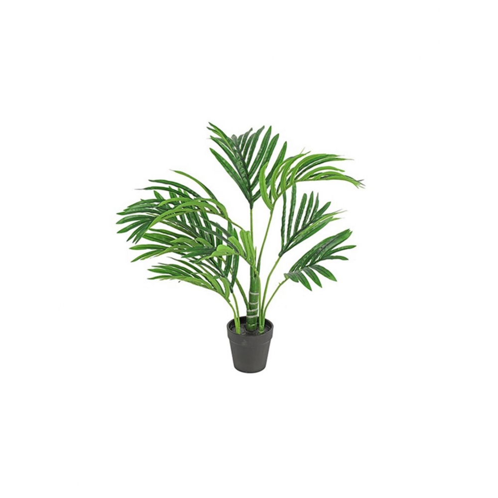 Κέντια πρασινάδα σε κασπώ 50εκ. Plastona 013.780793
