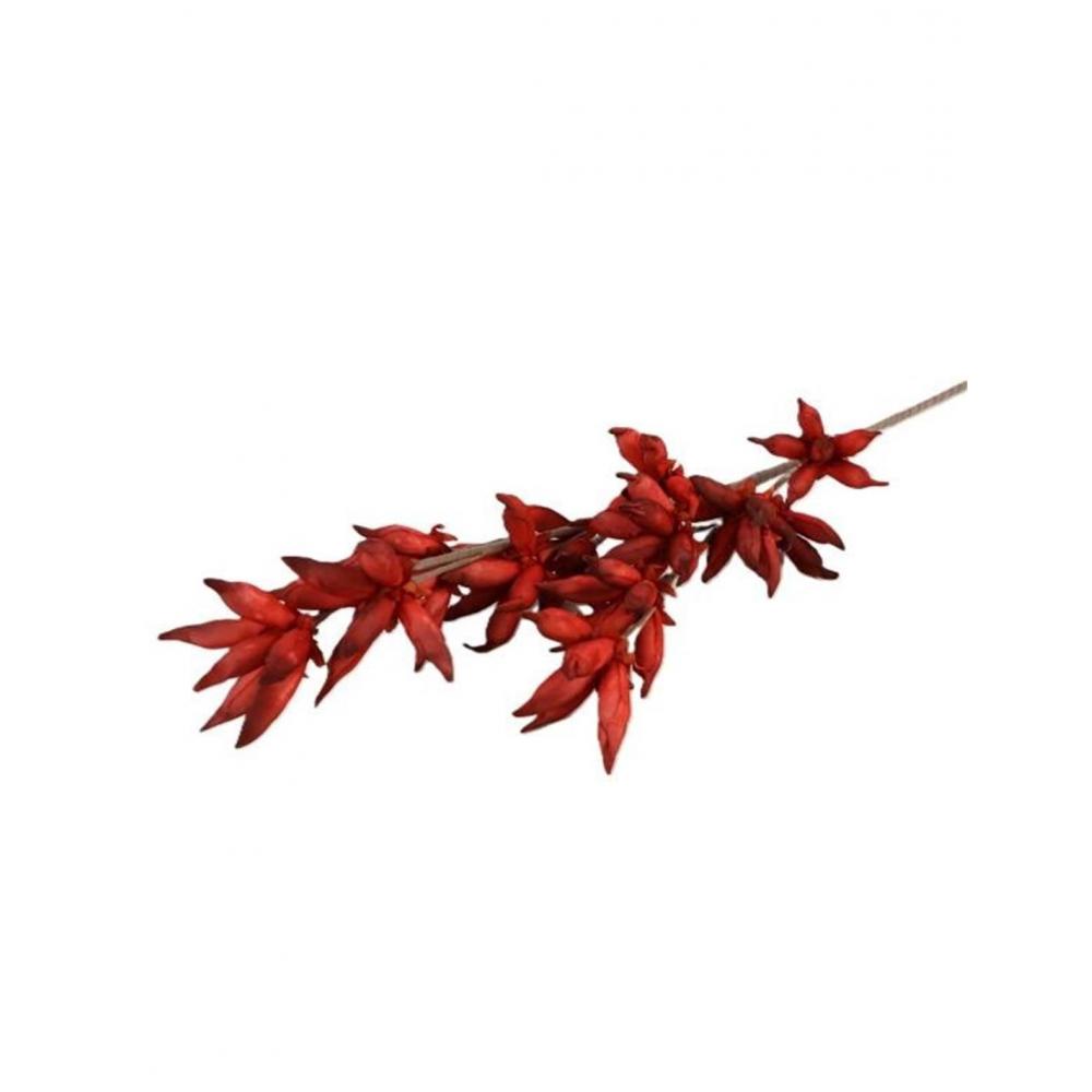 Κλαδί Camasia κόκκινο Η100cm Plastona 012.862192065