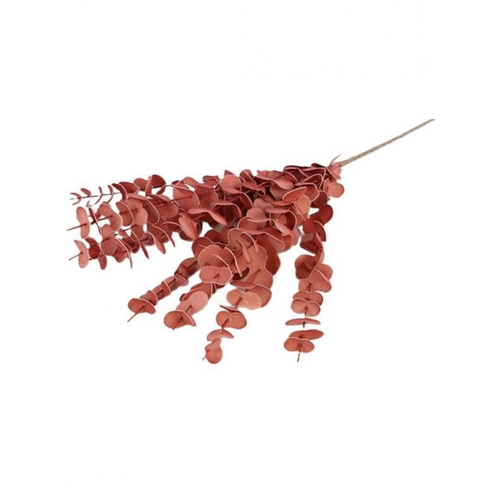 Κλαδί ευκάλυπτος ροζ αντικέ Plastona 012.862192011